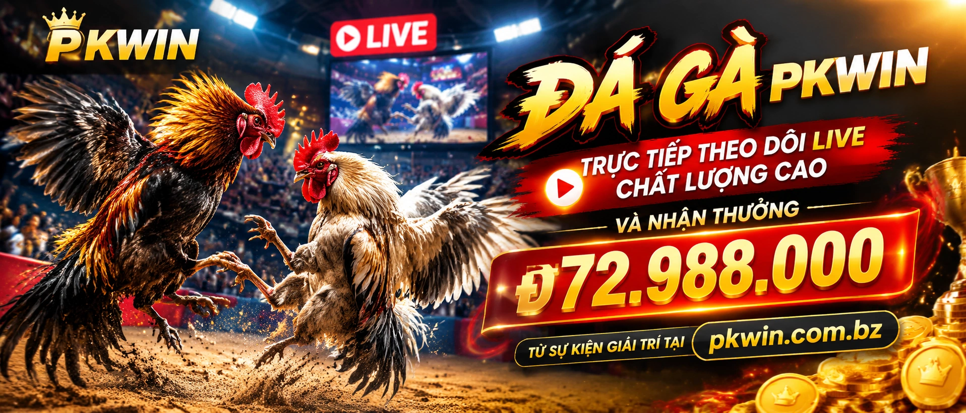 Đá Gà Trực Tiếp trên PKWin